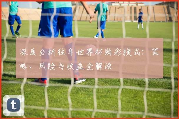深度分析往年世界杯购彩模式:策略、风险与收益全解读
