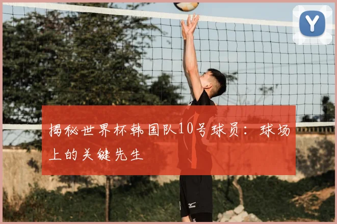 揭秘世界杯韩国队10号球员：球场上的关键先生