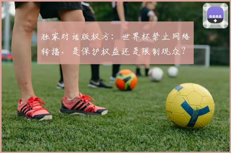 独家对话版权方:世界杯禁止网络转播,是保护权益还是限制观众?