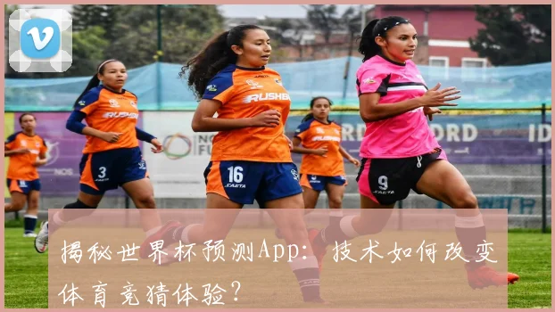 揭秘世界杯预测App：技术如何改变体育竞猜体验？