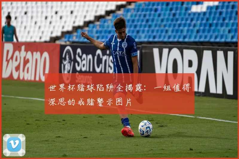 世界杯赌球陷阱全揭露:一组值得深思的戒赌警示图片