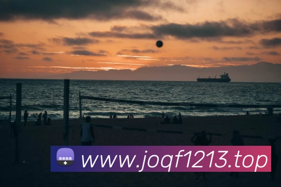 开云官方在线登陆入口APP 封面图